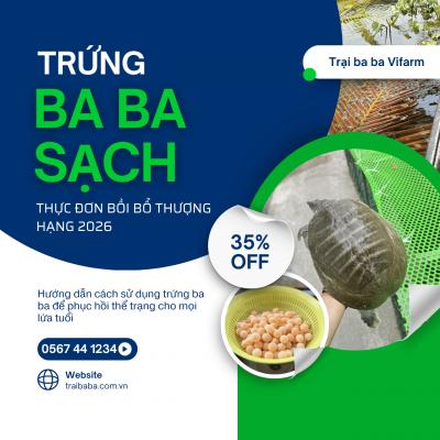 Trứng Ba Ba: 